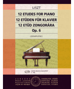 2132. F.Liszt : 12 Etudes op.6 (EMB)